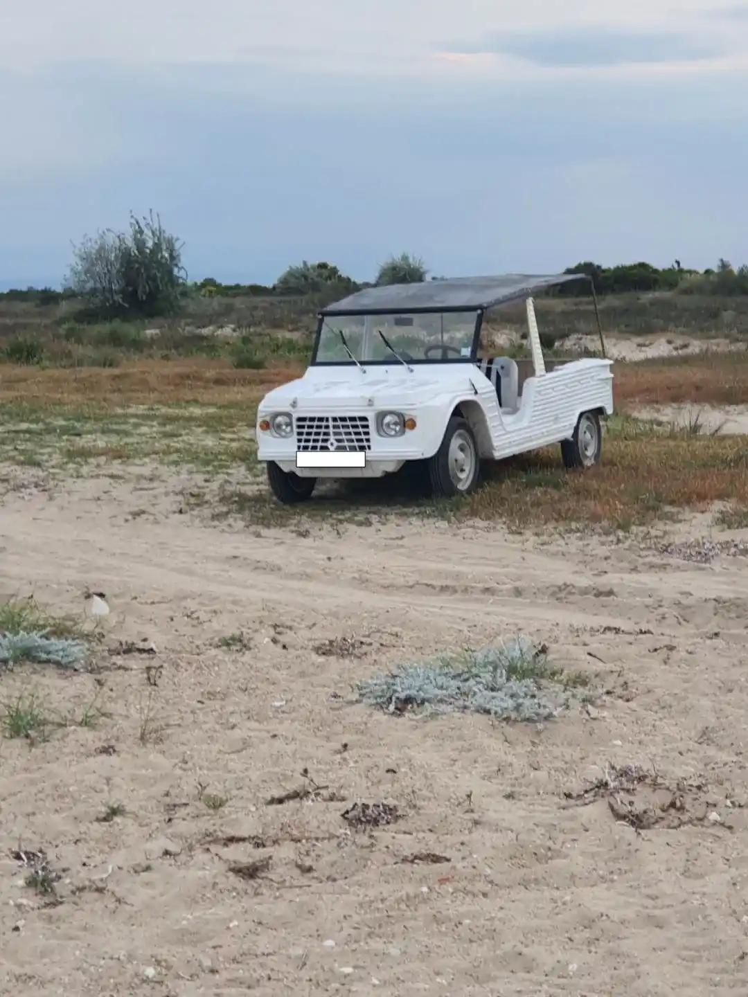 Citroën Méhari 1973 Frontansicht