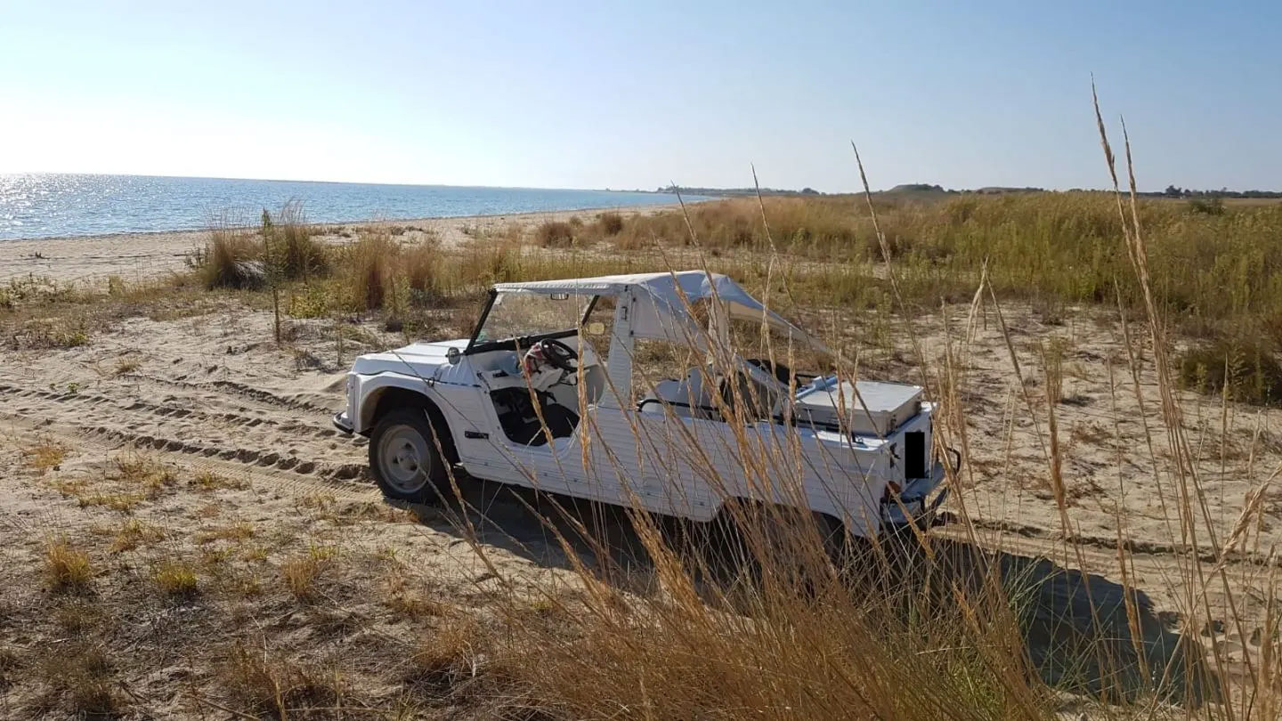 Citroën Méhari Side View